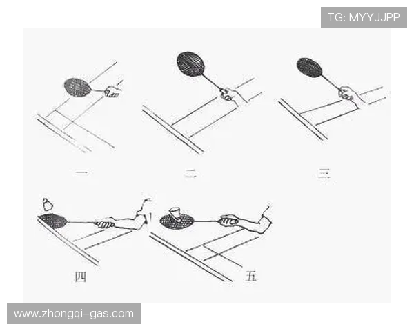 成都羽毛球队整体压制打法深度分析与战术解读